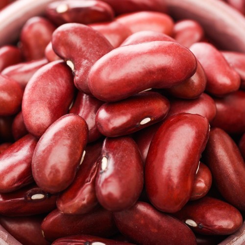 Wholesale Red Kidney Beans (South Type) from Ethiopia with good quality at the cheapest price in market