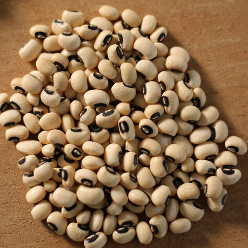 Wholesale Black Eyed Beans from Brazil with good quality at the cheapest price in market