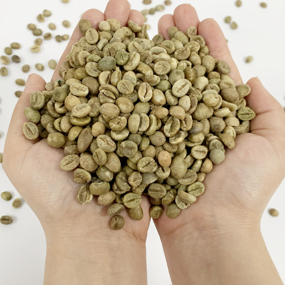 [Ready to Ship] Brazil Robusta Green Coffee Beans S18 Natural Process Whole Bean OEM/ODM Available