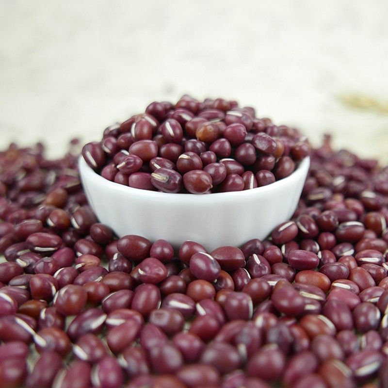 Wholesale Bolinha Red Beans from Brazil at cheapest price in market