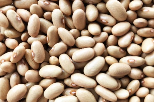 Wholesale Super Jumbo Beans from Brazil with good quality at the cheapest price in market