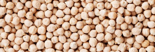Wholesale chickpeas at very cheap prices