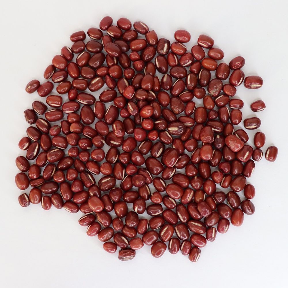 Wholesale Bolinha Red Beans from Brazil at cheapest price in market