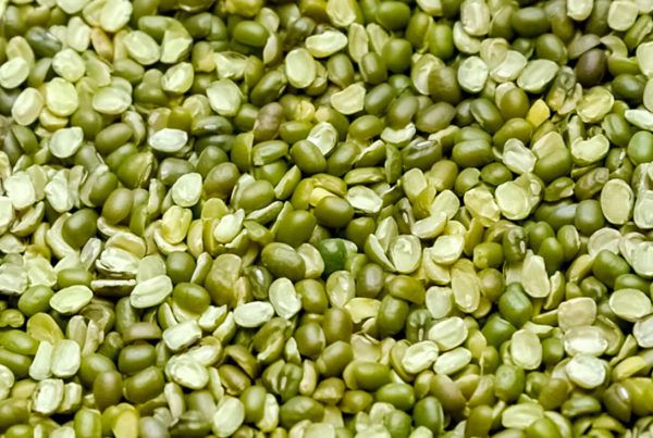 Wholesale Split Green Mung Beans from Brazil with good quality at the cheapest price in market