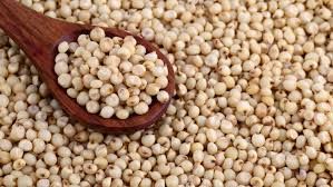 High Quality Sorghum
