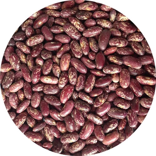 Wholesale Red Speckled Kidney Beans from Ethiopia with good quality at the cheapest price in market